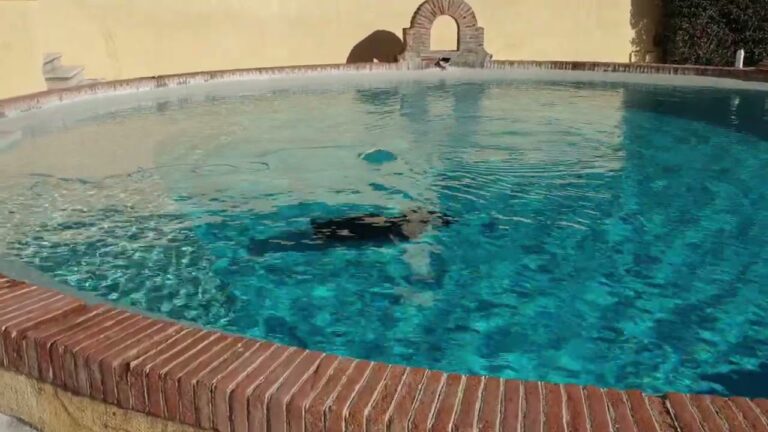 Reparación Eficiente de Fugas de Agua